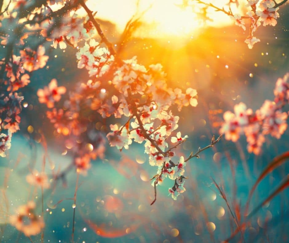 seasonal content for spring