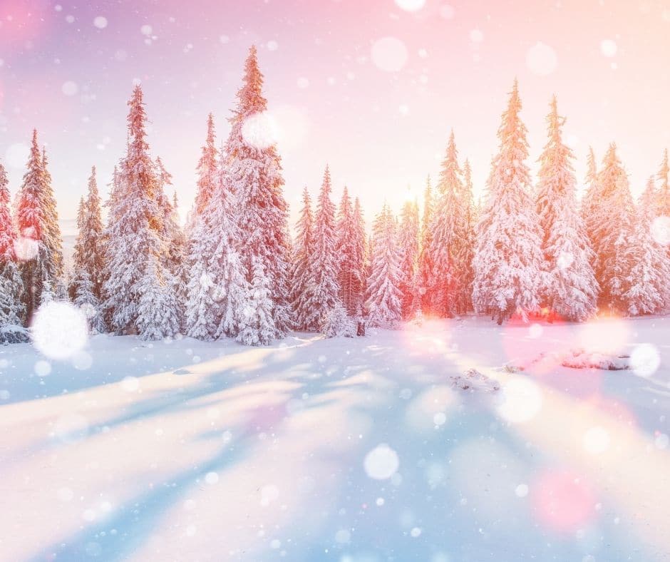 seasonal content for winter