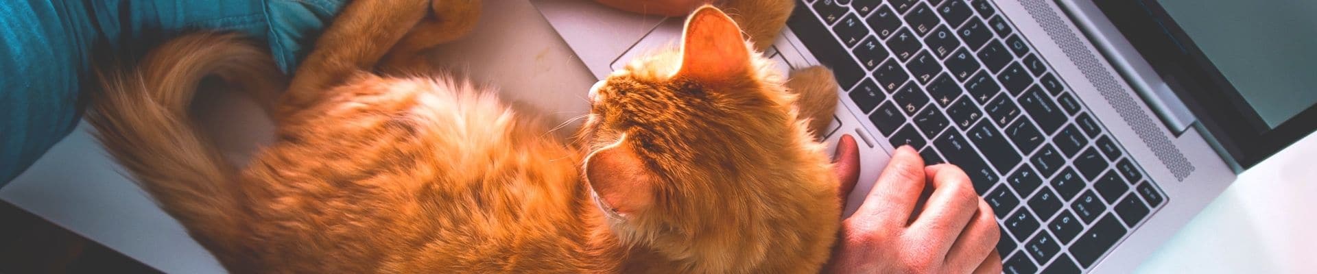 What's The Process When Working With A Copywriter?