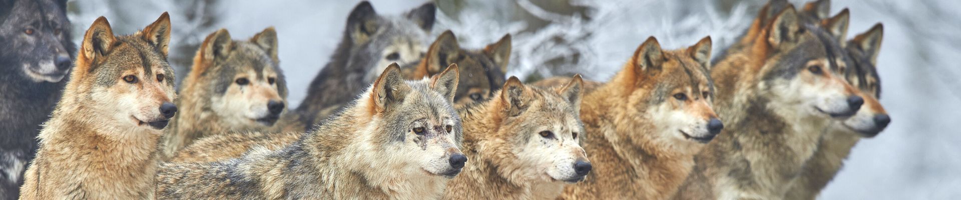 How To Build A Tribe, Why You Need To And Why We Need To Drop The Term