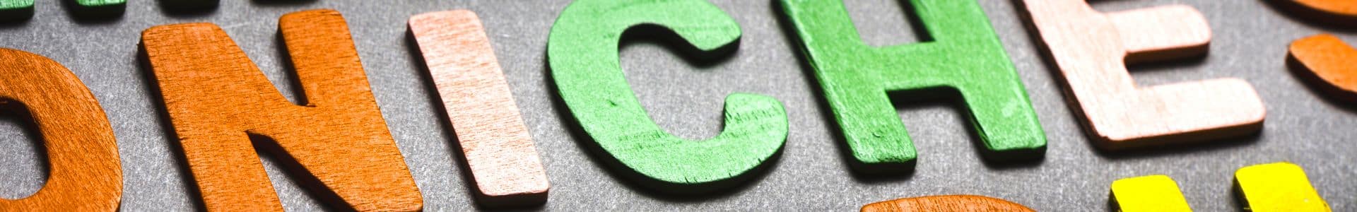 Define Thought Leadership In Your Niche