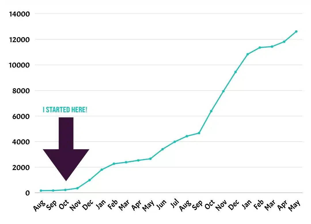 How can I get more traffic to my website? One blog a week took this business from 354 to 12.6K visits/month — no ads, no backlinks, no stress.